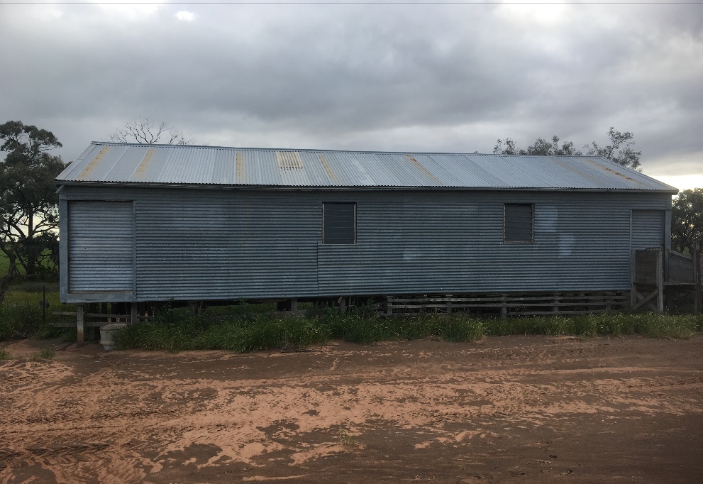 Shearing Shed Three Stand Livestock Equipment Wool and